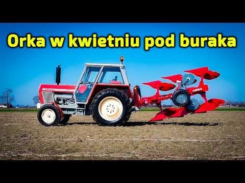 Embedded thumbnail for Dziadek orał wiosną i zebrał 80 t/ha buraków Bartek robi tak samo Ursusem Matheo780