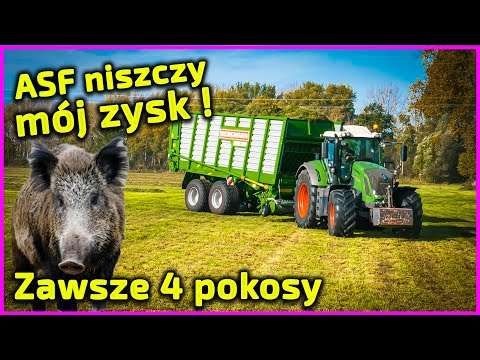 Embedded thumbnail for 200 ha, ja z żoną, 1 pracownik i ojciec 70 lat Bydło mleczne i trzoda Dokładam 60 gr/kg (ASF)