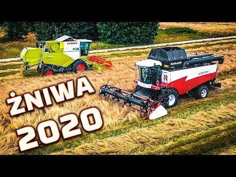 Embedded thumbnail for Claas i Rostselmash Żniwa 2020, opłacalna uprawa Kombajny zbierają TRAWĘ NASIENNĄ