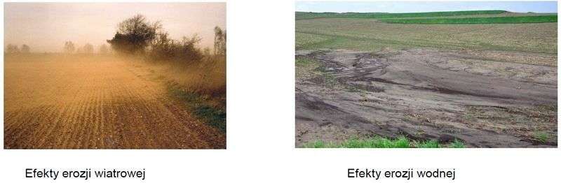 Efekty erozji gleby Efekty erozji gleby