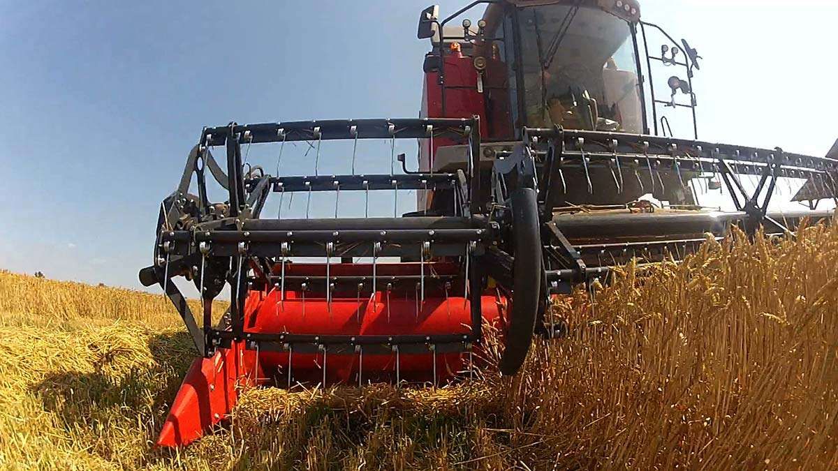 Capello Grain System na polu Capello Grain System w pracy z bliska