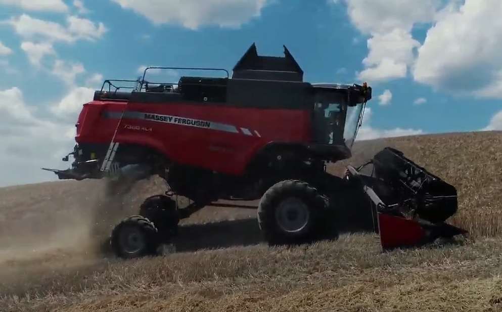 MF 7360 Beta zbiór zboża na zboczu Kombajn MF 7360 z para level