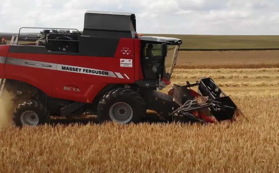 Massey Ferguson 7370 Beta na polu