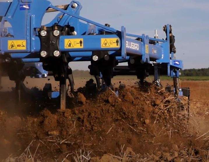 Rabe Bluebird podczas pracy od przodu Rabe Bluebird zęby podczs pracy