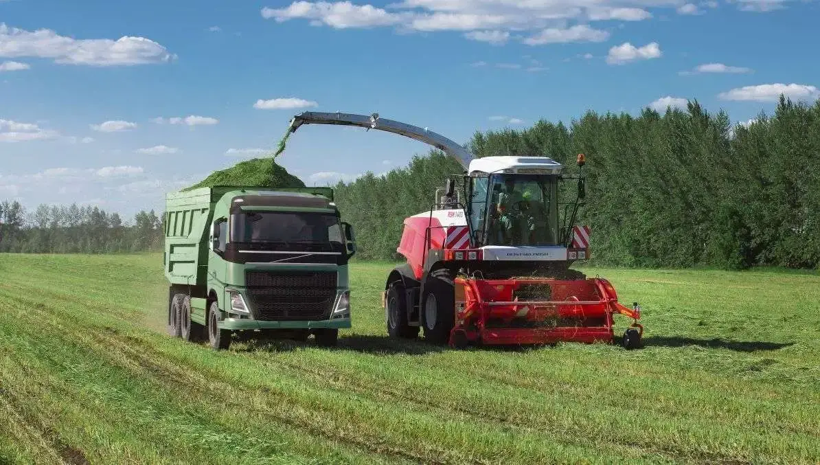 Sieczkarnia polowa Rostselmash RSM 1403 podczas pracy produkt korbanek.pl Sieczkarnia polowa Rostselmash RSM 1403 zbiór traw