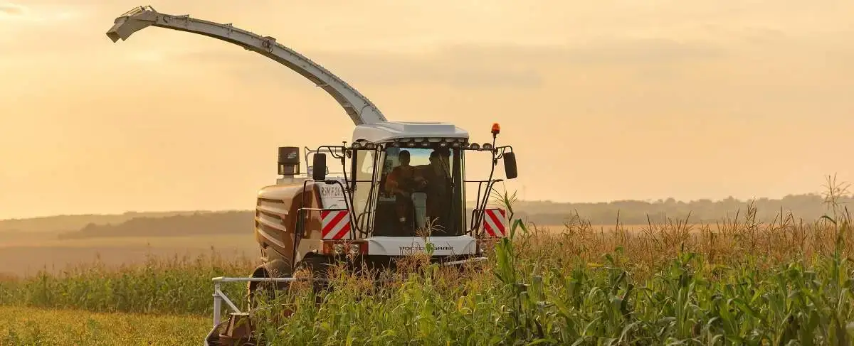 Sieczkarnia samojezdna Rostselmash RSM 1401/1403 wydajna maszyna na korbanek.pl Sieczkarnia polowa Rostselmash RSM 1403 wyłądunek trawy na przyczepę