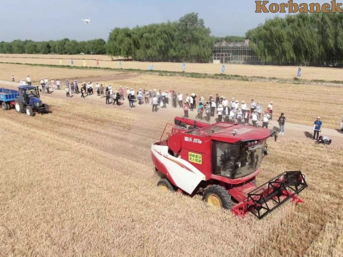 Kombajn Lovol