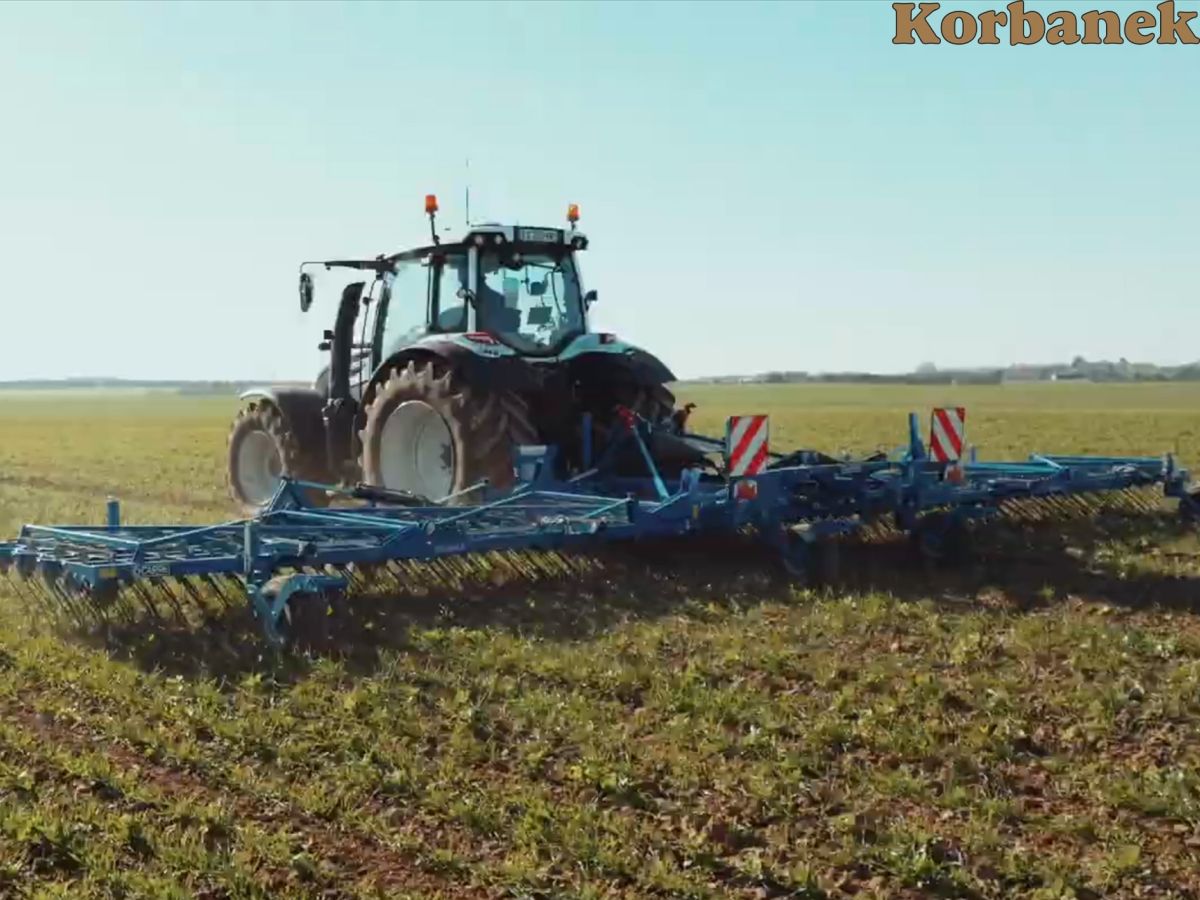 Chwastownik Carre